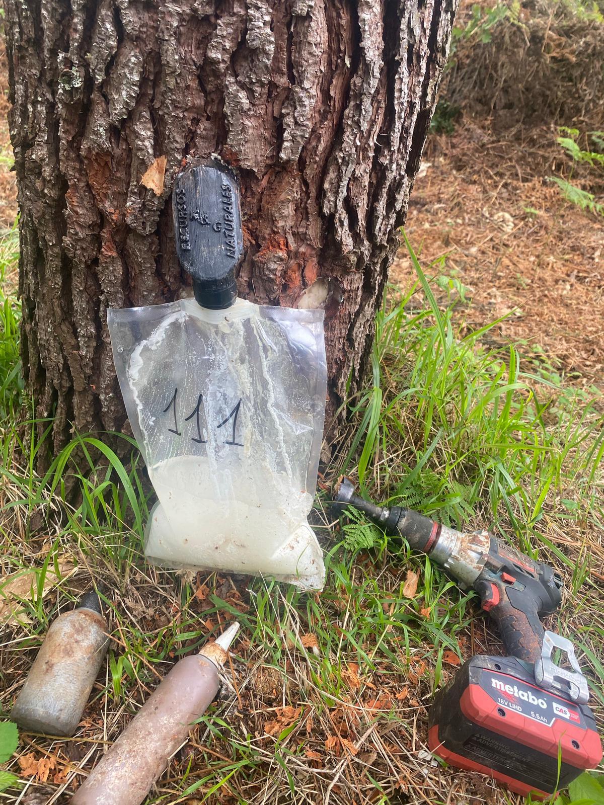 WhatsApp Image 2022-11-07 at 07.50.20